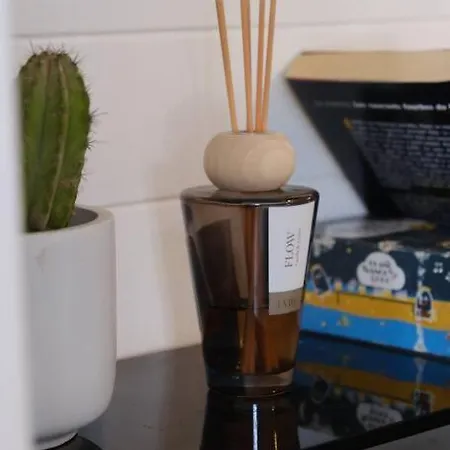 Duplex Sous Le Chateau Au Coeur De Apartamento