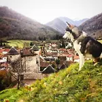 Appartement Duplex Sous Le Chateau Au Coeur De