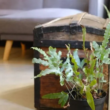 Duplex Sous Le Château Au Coeur De * Seix