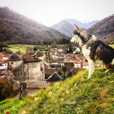Apartamento Duplex Sous Le Château Au Coeur De