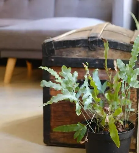 Duplex Sous Le Chateau Au Coeur De * Seix