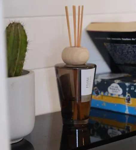 Duplex Sous Le Chateau Au Coeur De Daire